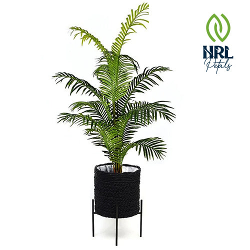 NRL Petals - ISHA BLACK BRAIDED PLANTER