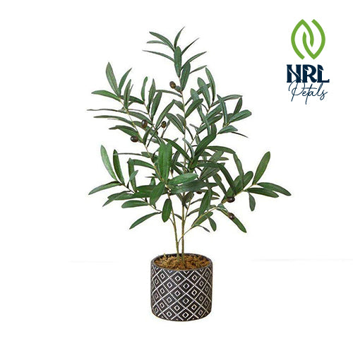 NRL Petals - MADERO POTTED FAUX OLIVE PLANT