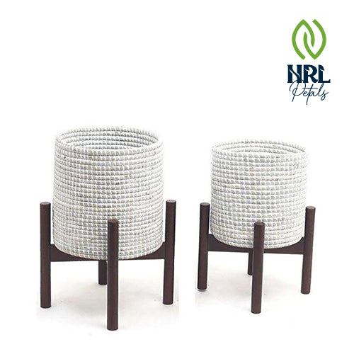 NRL Petals - DIOSA - WHITE SEAGRASS PLANTER