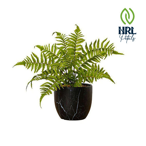 NRL Petals - DASA POTTED FAUX FERN