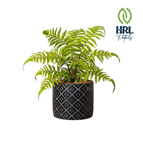 NRL Petals - BALI POTTED FAUX FERN