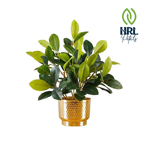 NRL Petals - MORENO POTTED FAUX WATERCRESS PLANT