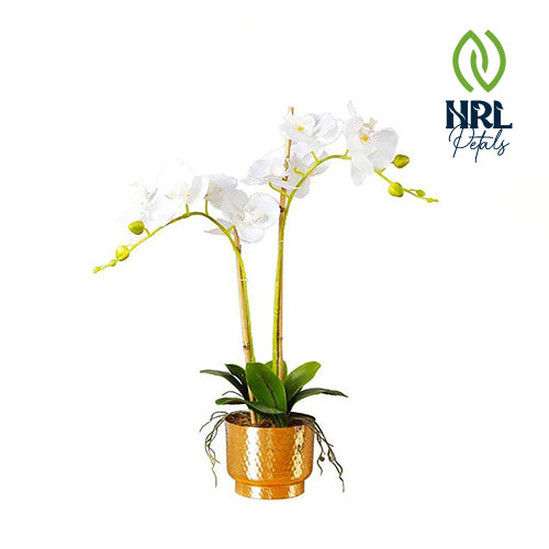 NRL Petals - GLADIOLA FAUX POTTED ORCHID FLORAL