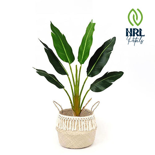 NRL Petals - POKHA - SEAGRASS BASKET WITH TASSEL